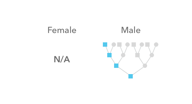 Who_passed_along_your_y_chromosome_DNA.png